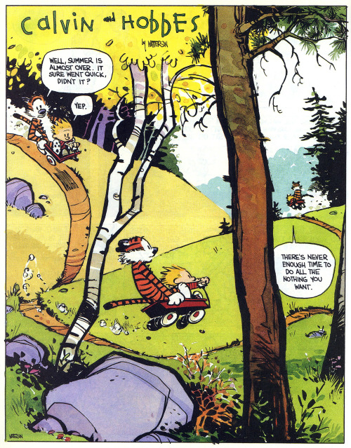 calvin-and-hobbes