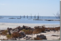 Beach at playa grande