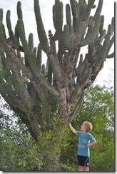 Joni and cactus