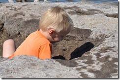 Joni digging