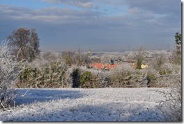 Snowy Baldock