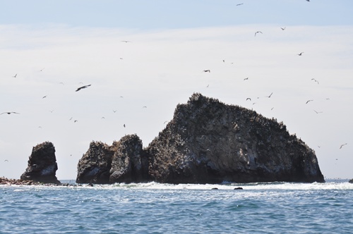 Islands with birds