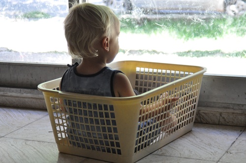 Joni in washing basket