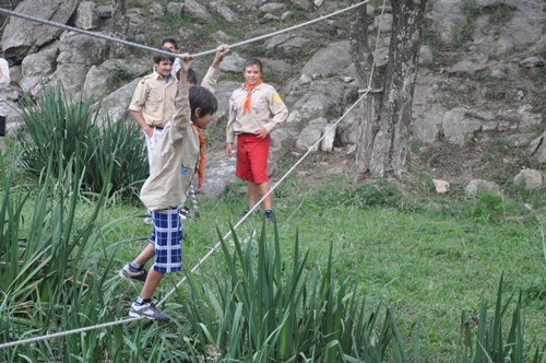 Monkey Bridge