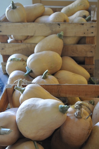 three crates of butternut squash