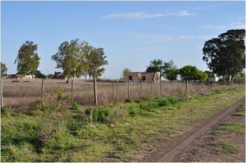 Hamlet of Luis Sauces