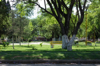 plaza