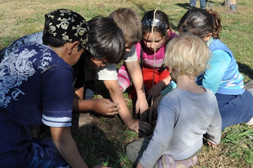 Planting trees